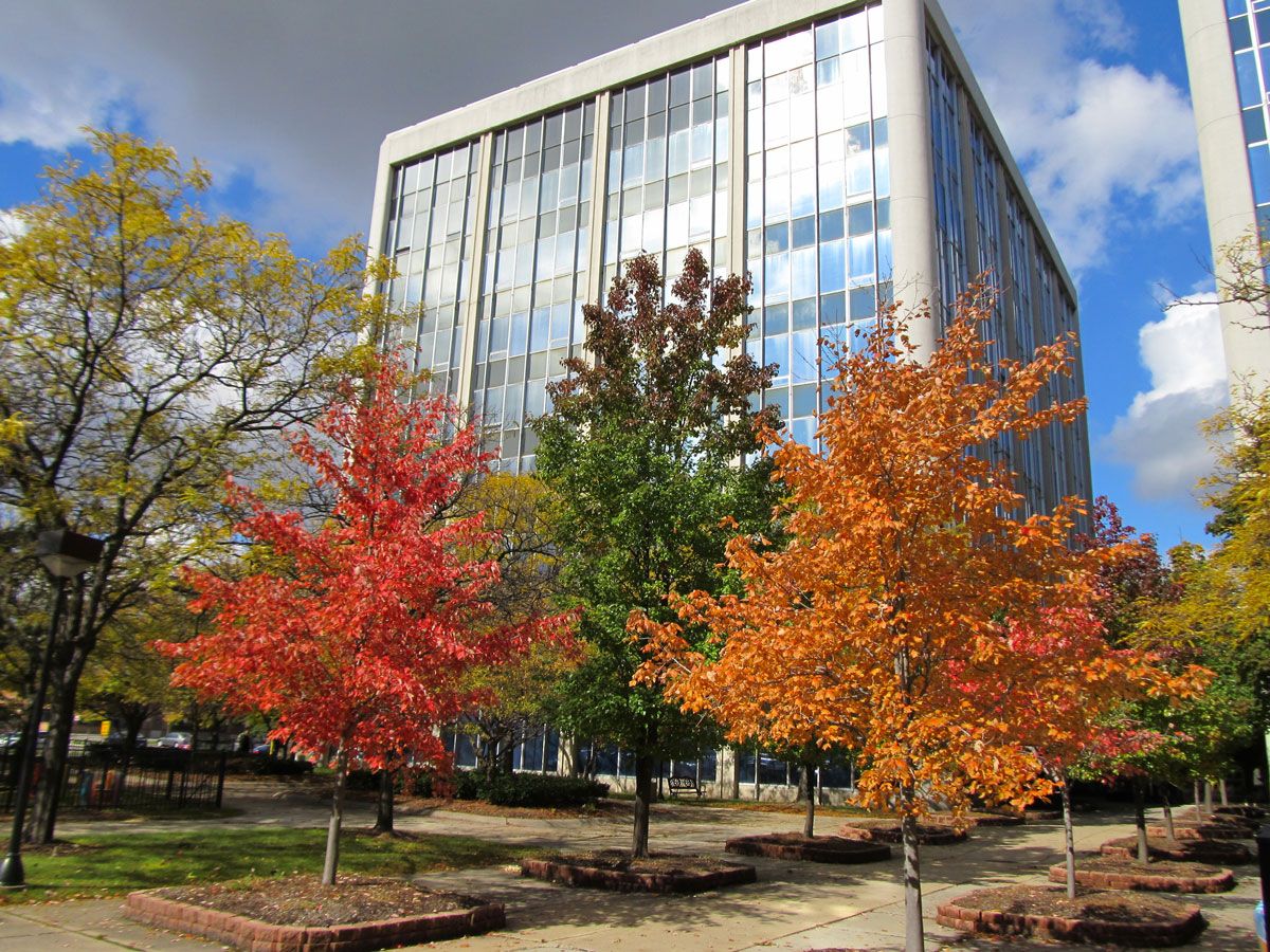 Northland Towers Office and Medical Center, Southfield, MI